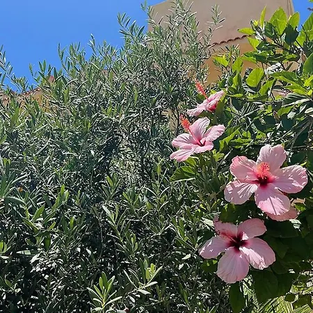 Di Selinunte - A 50 M Dal Mare Holiday home *