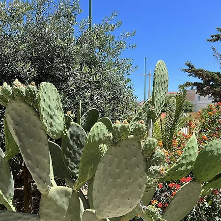Di Selinunte - A 50 M Dal Mare Triscina